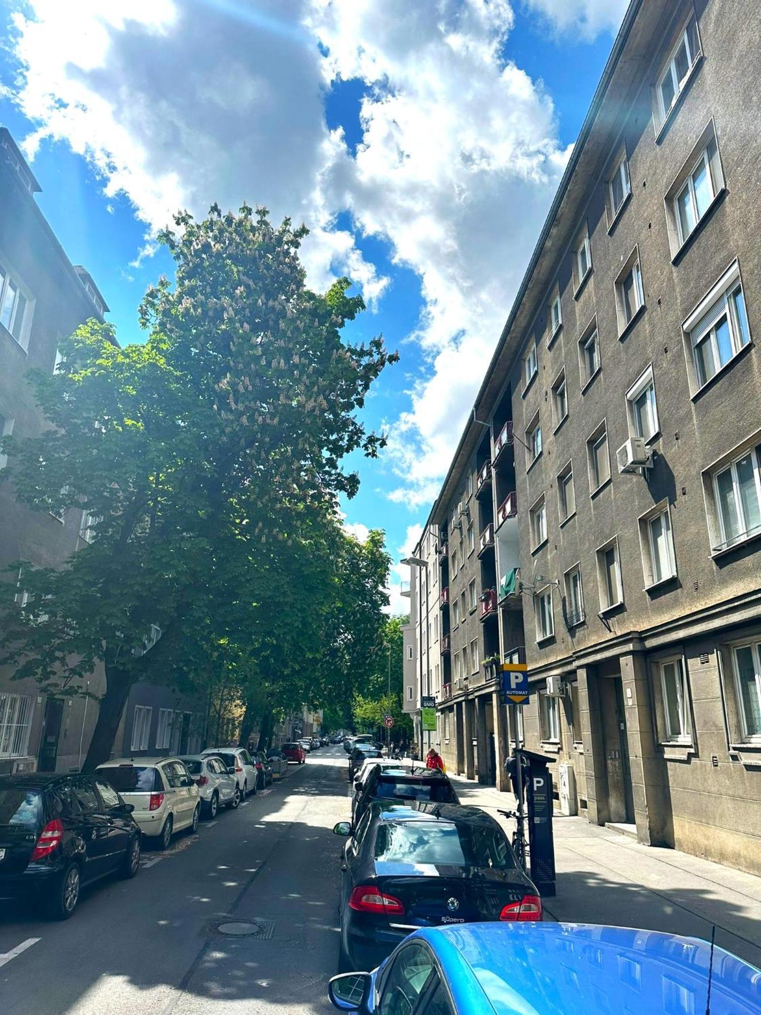 Apartment Helen - Old Town, Ac ブラチスラヴァ エクステリア 写真